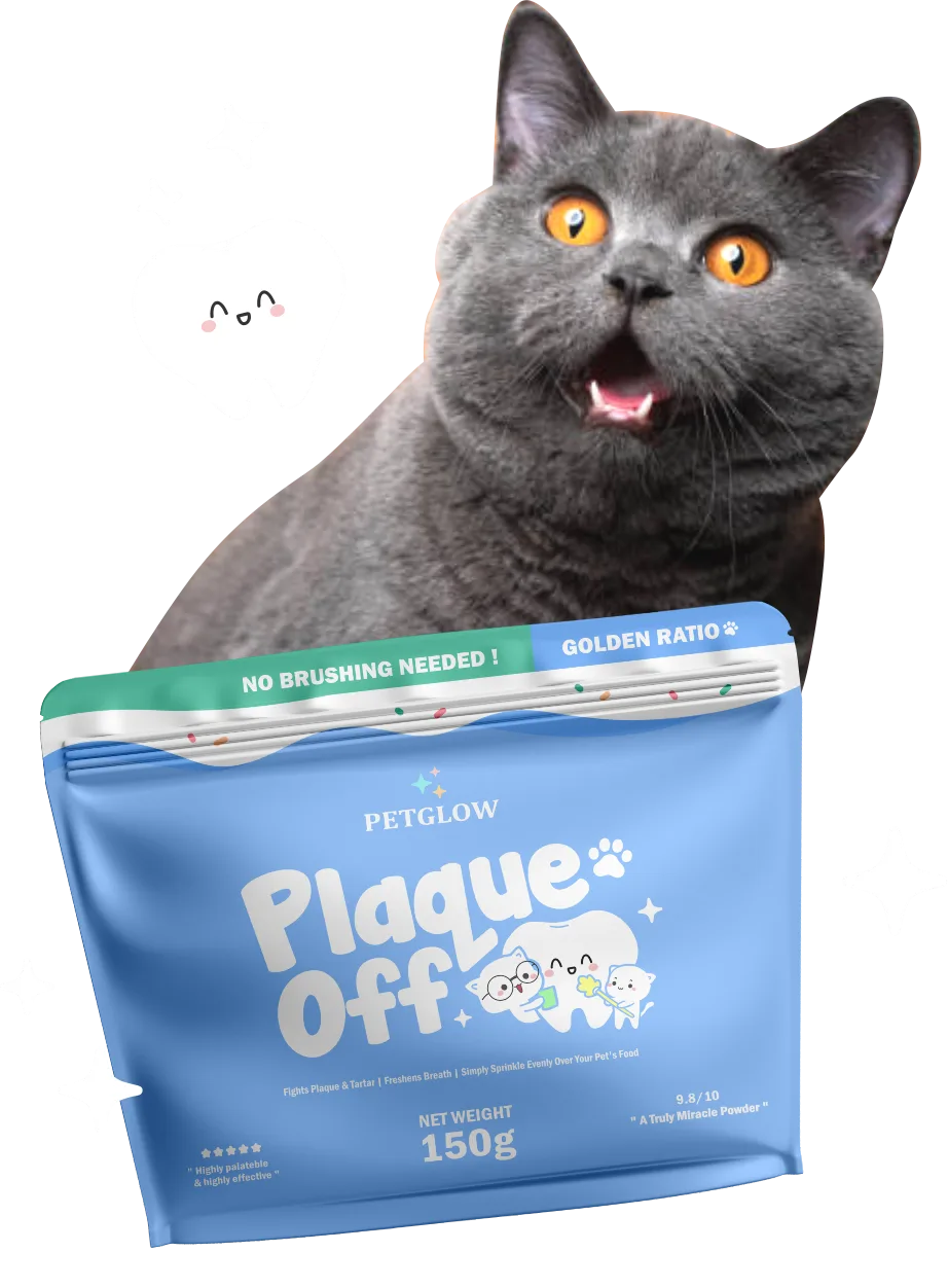 Brand Collab GH Vitamin
